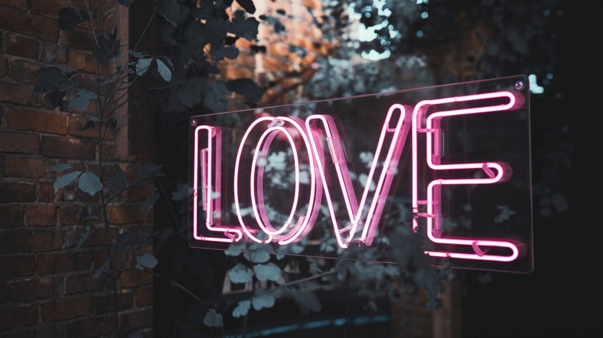 neon-love-romantic-night-romantic-moment-love-light-love-sign-love-wallpaper-valentine-heart-hearts-sparkle-sparkler-celebration-glowing-copy