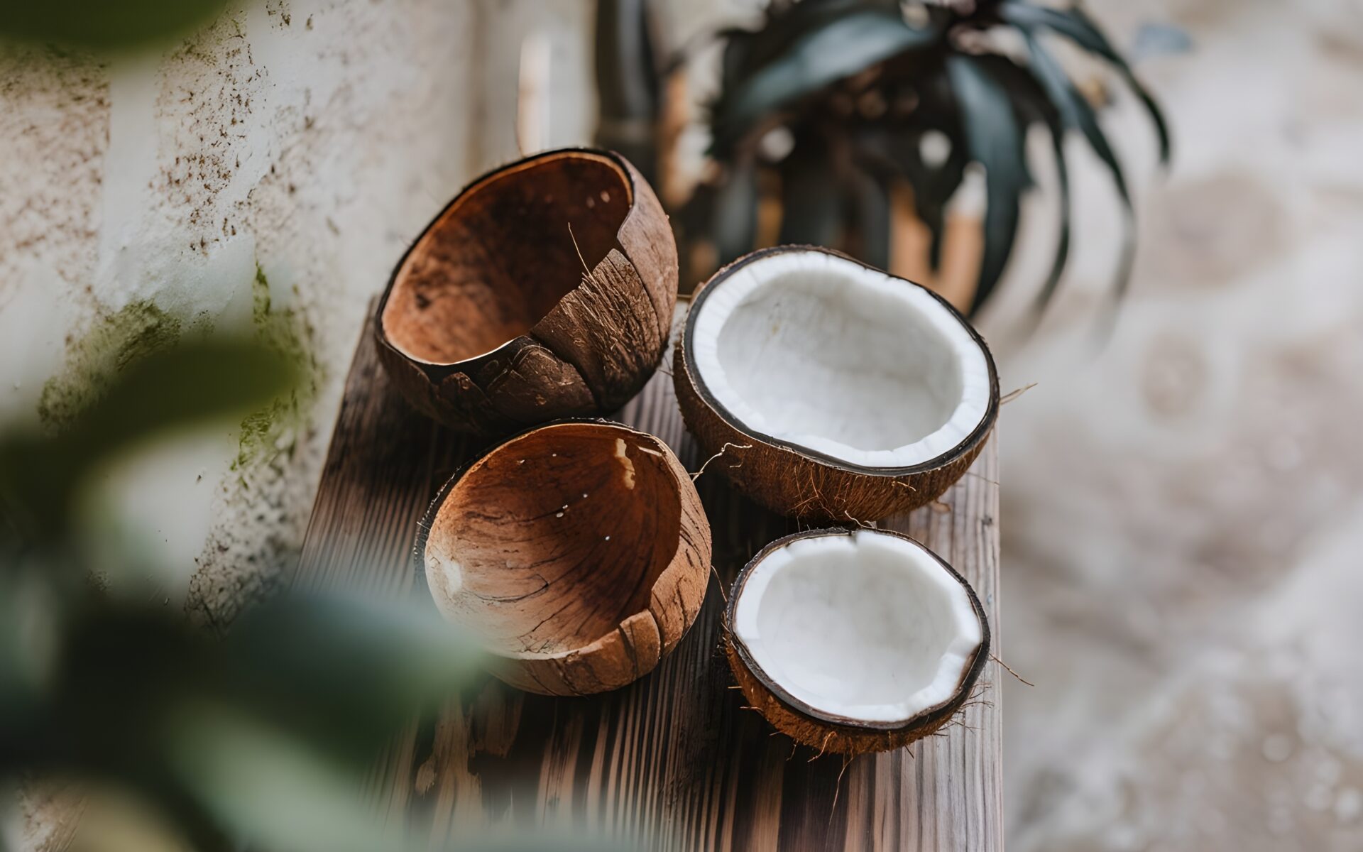 coconut-coco-summer-tropical-aesthetic-plant-fresh-fruit-food-vegetable-wellness-food-drink-organic-palm