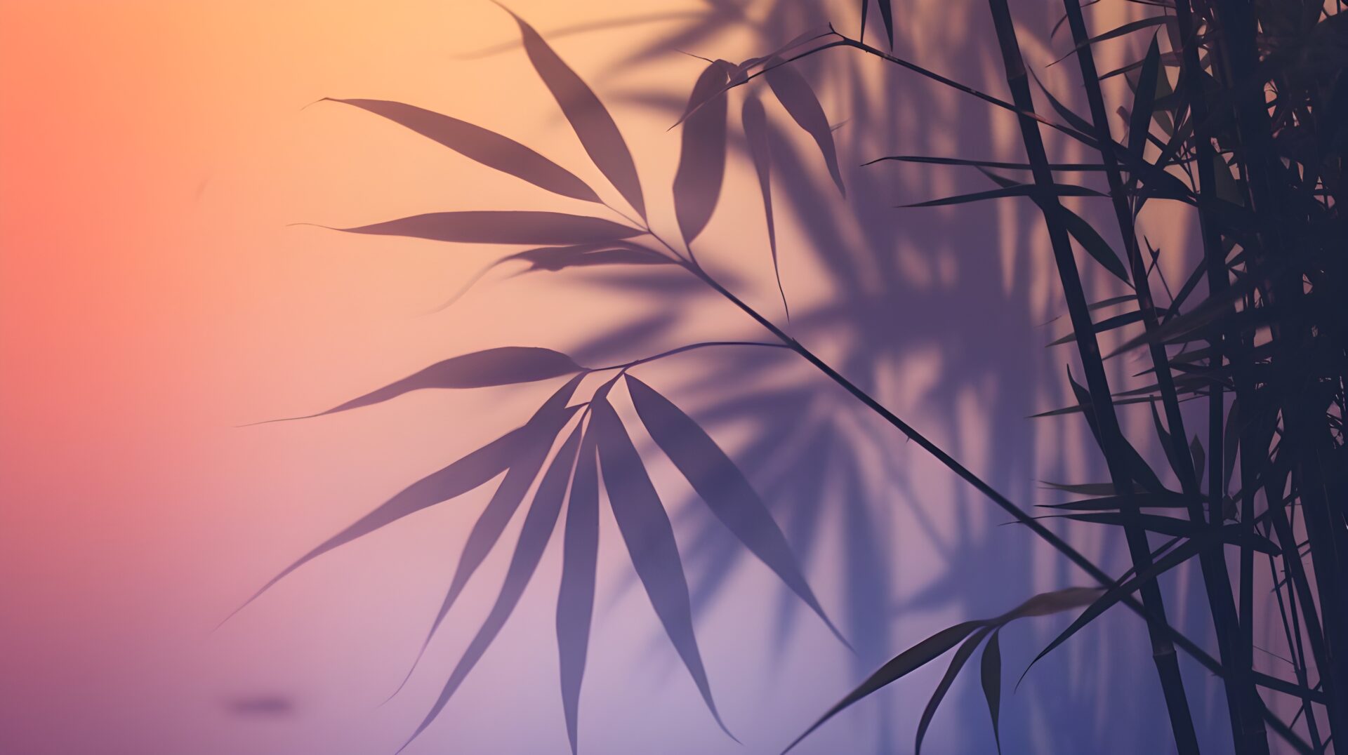 realistic-tropical-leaves-shadow-overlay-effects-background-leaf-shadow-light-shadow-shadow-wall-background-shadow-light-overlay