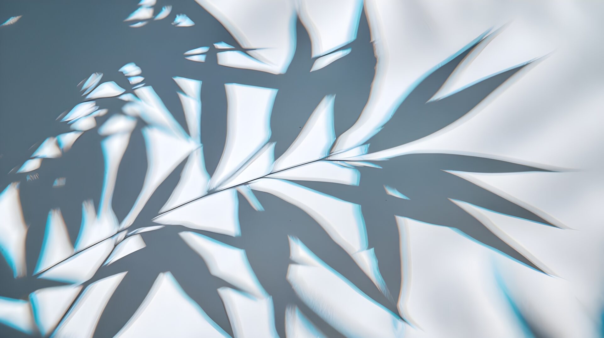 realistic-tropical-leaves-shadow-overlay-effects-background-leaf-shadow-light-shadow-shadow-wall-background-shadow-light-overlay